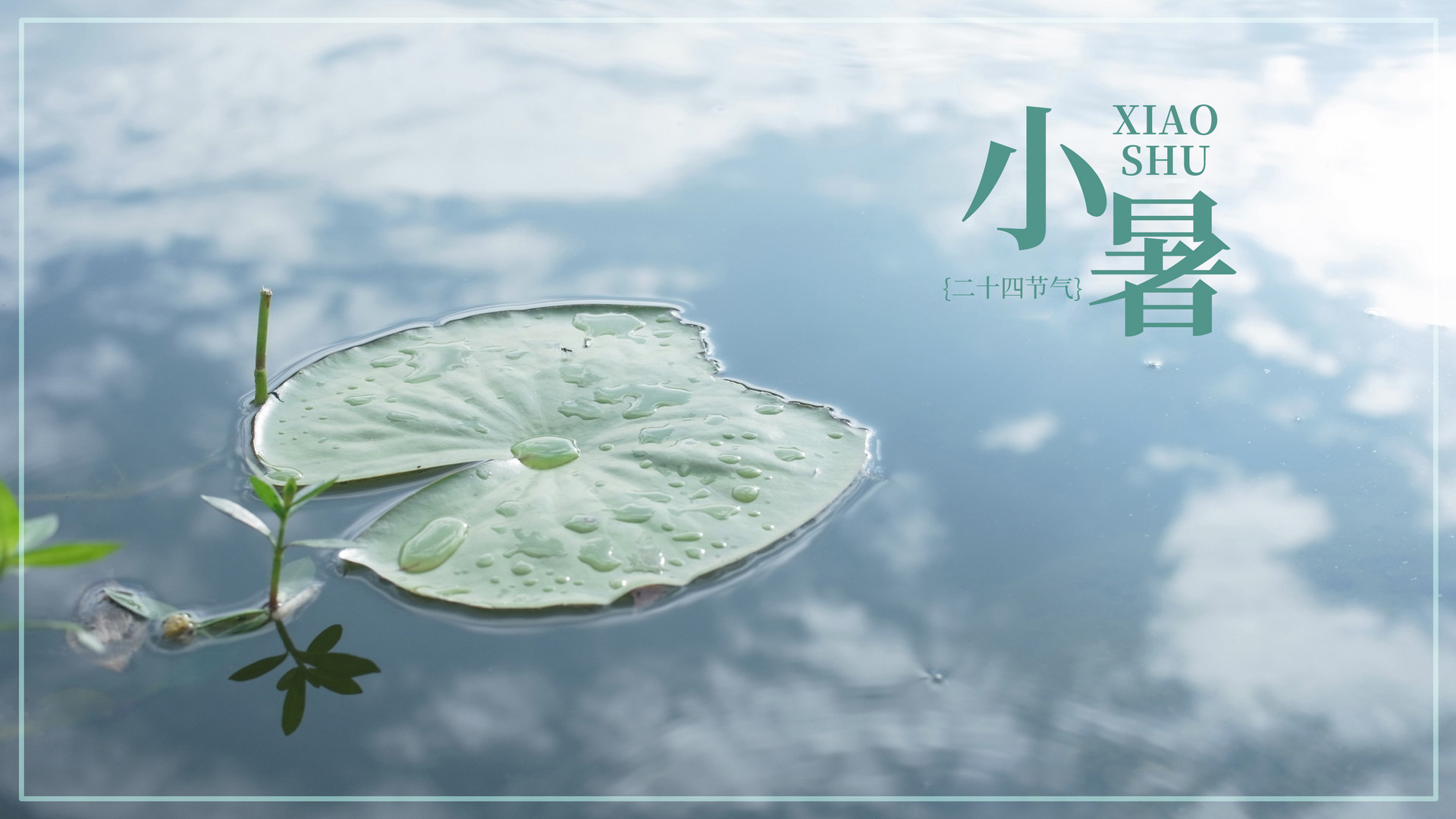 摄图网_500462958_banner_24节气小暑（企业商用）.jpg